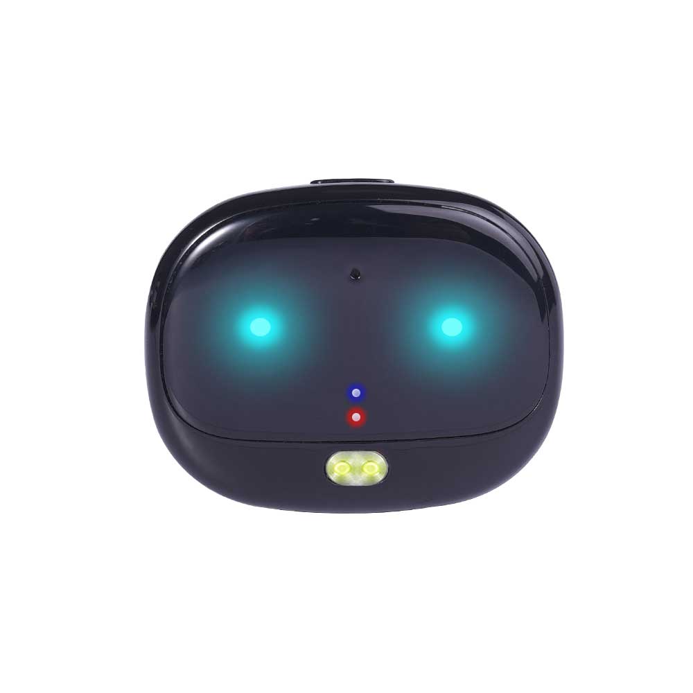 <b>RF-V47 Ringtone to find your pet 2G pet tracker with 2-way voice communication</b>