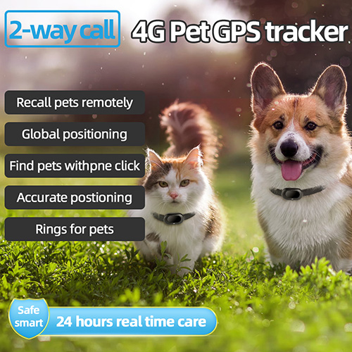 V41 Smart pet GPS tracker